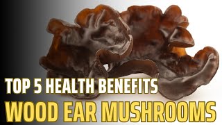 Five Incredible Benefits of Wood Ear Mushrooms!