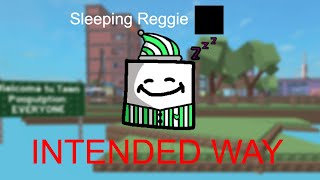 Sleeping Reggie INTENDED WAY - Find the Reggies