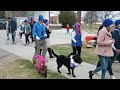 Walk a Mile in Her Shoes