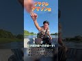 アマゾン森本【ブラジル縦断旅〜#4】野生のジャガー ~その1