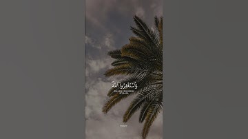 وَاسْتَغْفِرُوا اللَّهَ ۖ إِنَّ اللَّهَ غَفُورٌ رَّحِيمٌ#شريف_مصطفى | #سورة_المزمل