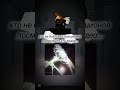 [23:12] гоу ночной актив?:3 пажэ:) #roblox #roblox #roblox