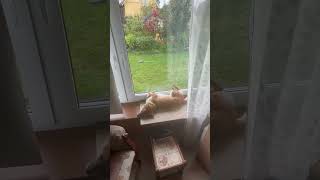 IMG 3847
