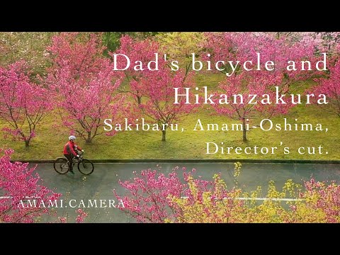 Dad&#039;s bicycle and Hikanzakura. Sakibaru, Amami-Oshima, Director’s cut.（「お父さんの自転車とヒカンザクラ」ディレクターズカット版）