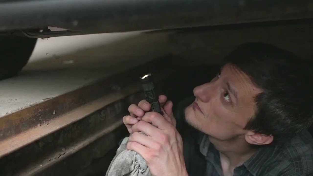 Rehoboth Beach Crawl Space Mold Removal