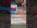 Blue collar curling competition 😂          🎥: Instagram / ravinbuilders