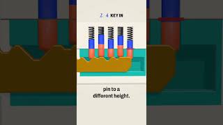 How Your Key Opens a Lock: 10 Tiny Pins