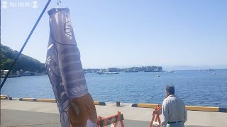 深海の掃除屋「オオグソクムシ」が春の大空に　静岡・沼津