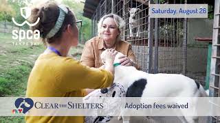 Join The Effort To Clear The Shelters And Find Homes For Animals In Need!