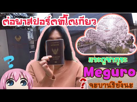 ต่อพาสปอร์ตที่ญี่ปุ่น 🇯🇵 แวะไปดูซากุระที่ Meguro ด้วย บานรึยังนะ ?? Vlog #9