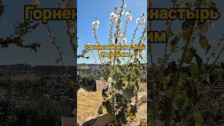 Gornensky Convent 04.06.26 Монастырские зарисовки в Горненском монастыре в Иерусалиме