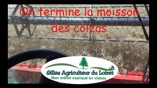 On termine la moisson 2017 des colzas