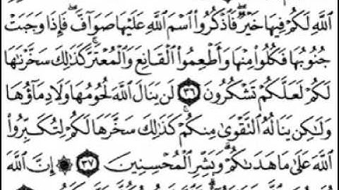 سورة الحج [ من الآية 24 إلى 55 ] بصوت الشيخ سعد الغامدي