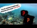 Как мы ныряли в Израильском море зимой | Интересный подводный мир в Эйлате 2018-2019