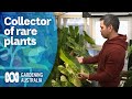 The tropical plant collector propagating rare plants en masse  my garden path  gardening australia