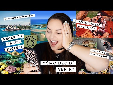 Preguntas y respuestas