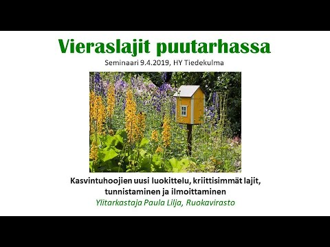 Video: Toukkien tunnistaminen geraniumeista – Opi pelargoniumin torjuntasta