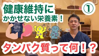 健康に欠かせない栄養素〜タンパク質について①〜