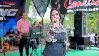 CAMELIA MUSIC - MUARA HATI - SELLY PRAWOTO - SEBOLO KALIJENGKING SEASON 3 - BANDENGAN JEPARA