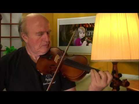 Arco Violin From Animato Strings For Linda San Francisco