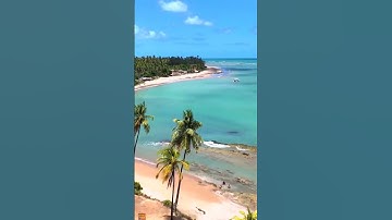 القارئ بلال بن كمال