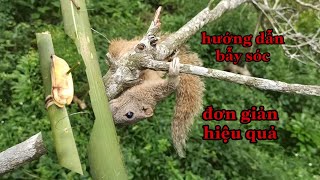 CÁCH BẪY SÓC BÔNG ĐƠN GIẢN - SIMPLE SQUIRREL TRAP