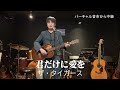 「君だけに愛を」ザ・タイガース グループ・サウンズ Japanese playing the guitar