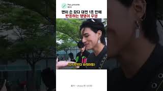 어쩔 땐 여우 였다가 어쩔 땐 댕댕이였다가 미치겠다