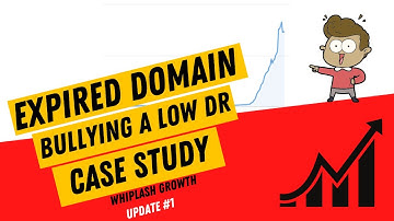 Aged Domain Case Study: Whiplash Growth Update #1