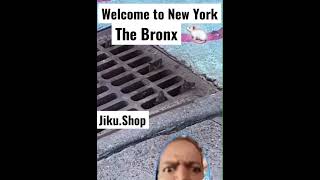 Make sure you never eat any food in the Bronx. Most likely a rat was there first.