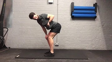Single Arm Bent Over Row with Rotation