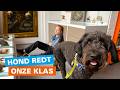 🎬 De Machtwacht - UNICEF Kinderrechten Filmfestival