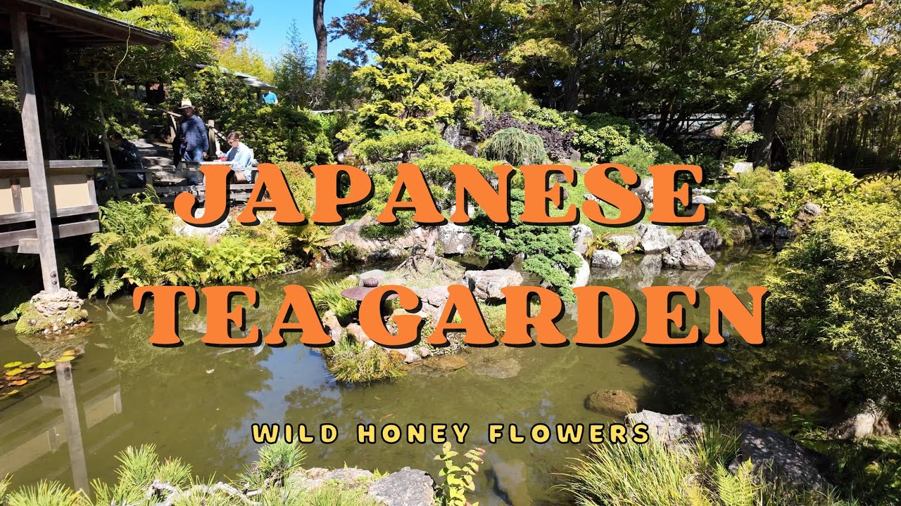 Strolling Through 🌿✨ the Japanese Tea Garden San Francisco | Peaceful Walk Through Golden Gate Park