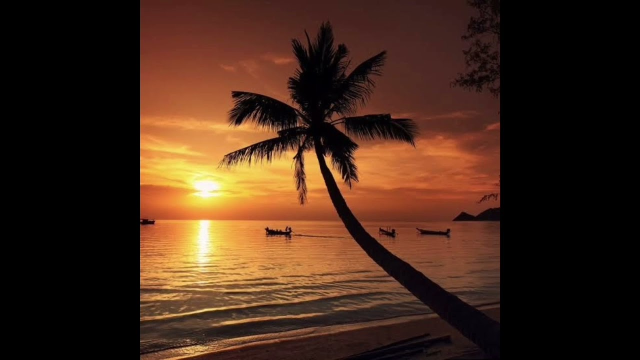 Free Reggae Island Music Sound Effects