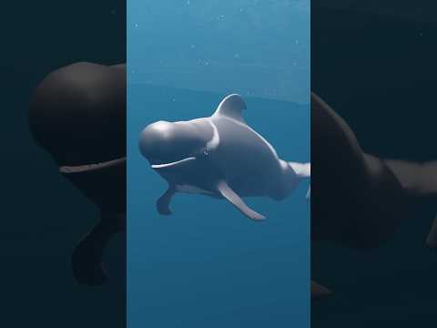 МОРСКИЕ МОНСТРЫ? 🐋 #shorts