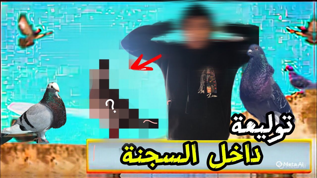 توليعة داخل السجنة في الحمام 😱🤯رجوع دكر زاجل ممتاز 👌🏻 بعد غياب طويل+تخليط أكل 😍👌🏻