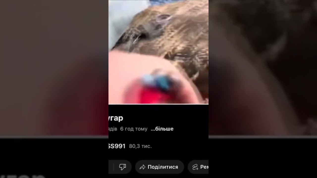 Напас после грибов угарает 😆 