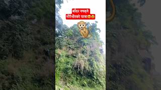Badar Nahidne Bhirtira Yatra seennepal