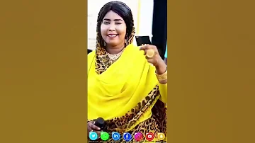 جديد يمن يحي الجبنة 
