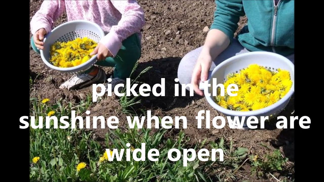 How To Make Dandelion Syrup