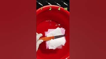 How Many Tissues Can Hold This?! 😱 Crazy Challenge & Satisfying Test #experiment #challenge #games