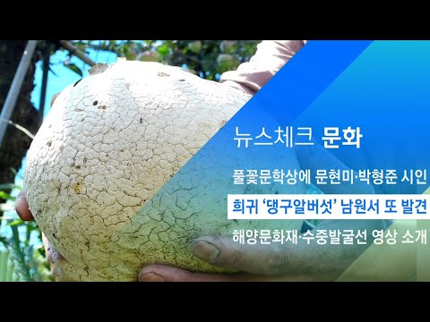 세계적 희귀종 '댕구알버섯' 남원서 또 발견 / JTBC 아침&