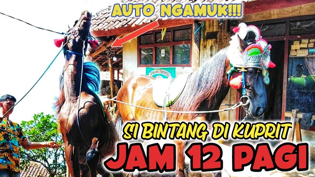 TES FISIK KUDA RENGGONG SI BENTO