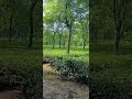view ta dekho bondhura ki sondor #video #highlight