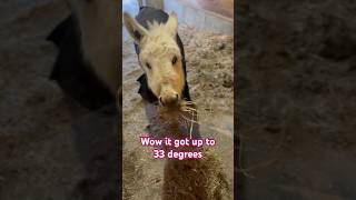 Loving The Heat Wave. Lol.