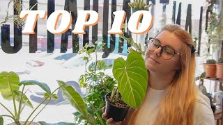 My Top 10 Favorite Common & Rare Houseplants