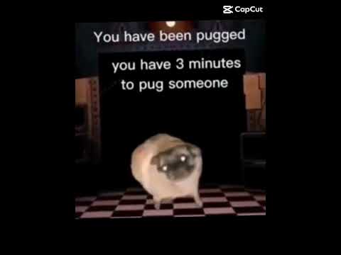 Youve been PUGGED