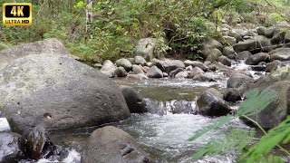 Escape to Paradise: Enchanting Water Sounds for Inner Peace and Tranquility