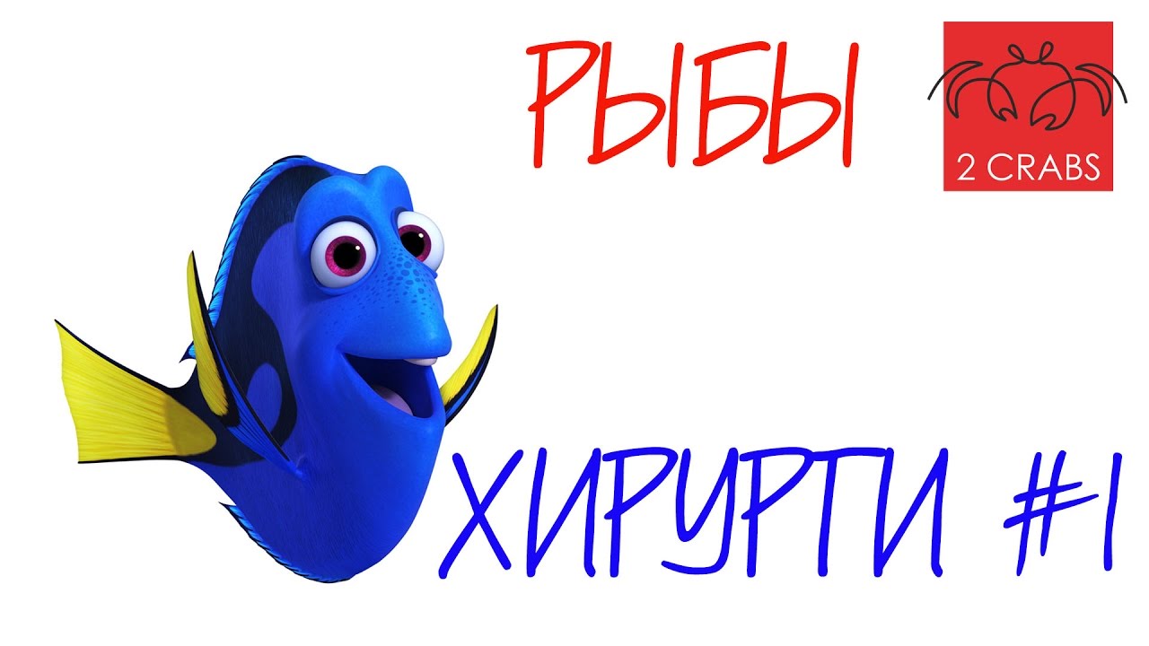 Рыбы хирурги.№1
