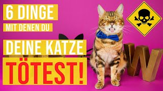 Diese 6 Lebensmittel schaden der Katze - was ist giftig für eine Katze? 😿👱‍♀️ Catwalk & Amely Rose